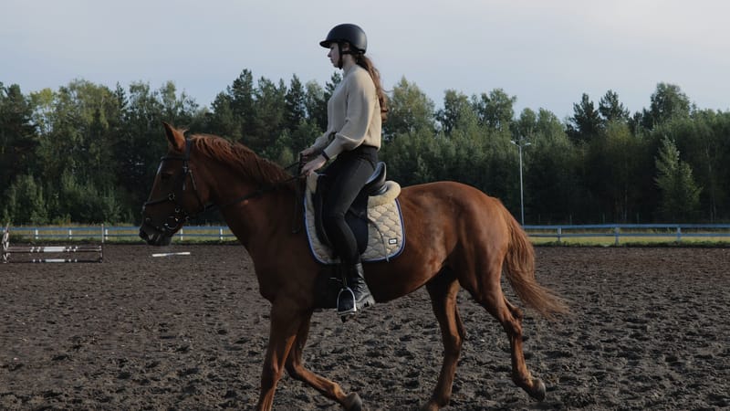Mounted Work