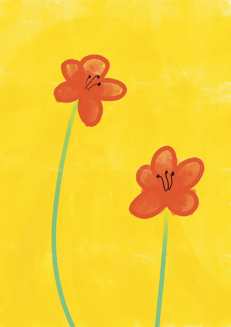 Quelques illustrations de ma galerie