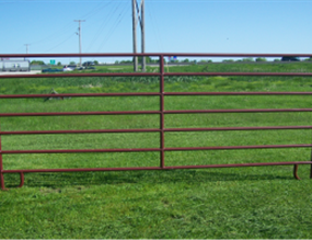 Gates, panels & pens