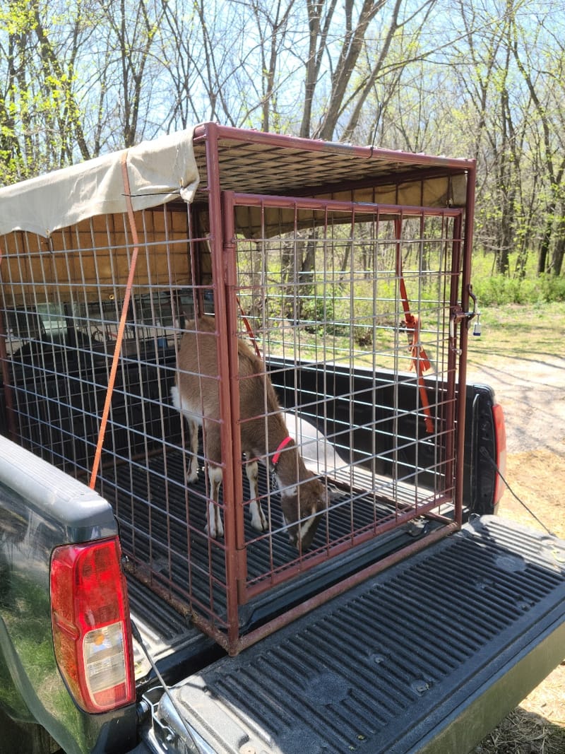 Additional Products--Little hanging feeders, bucket holders, cages