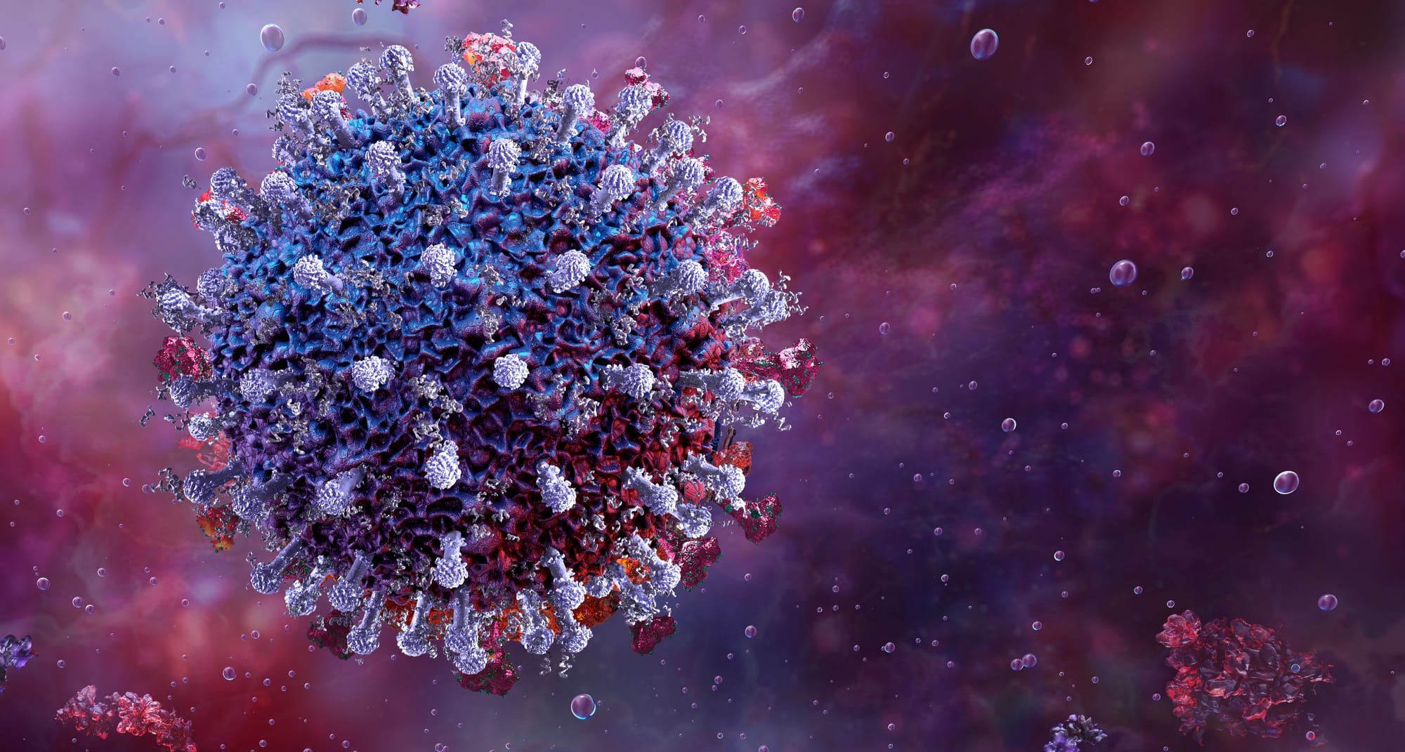 Vacuna contra el virus sincicial respiratorio: protección para quienes más la necesitan