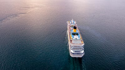 Brotes de infecciones en cruceros