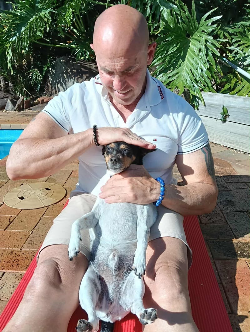 Pets Animals Reiki Healing - Steve