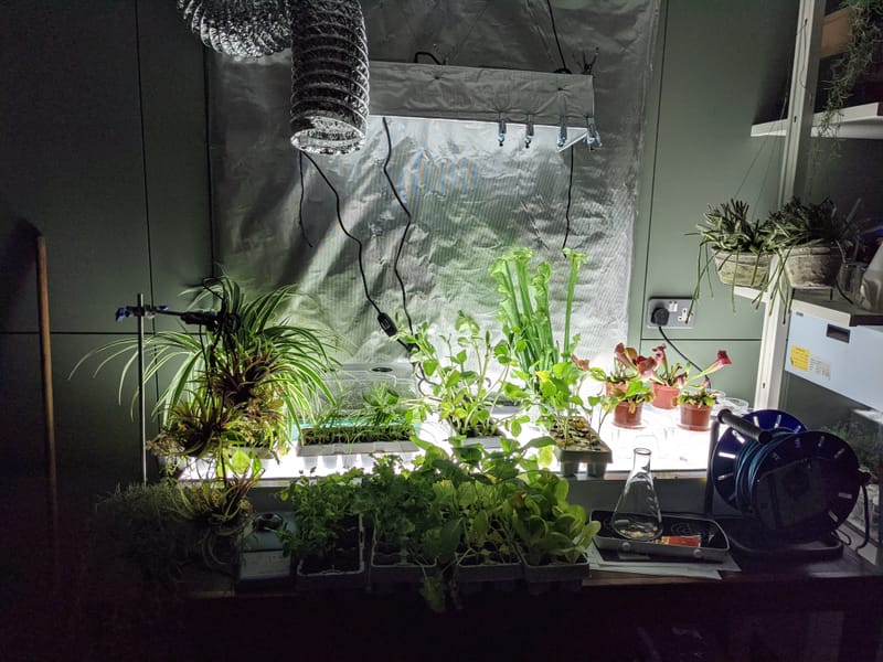 Simone Tyler’s ecology lab