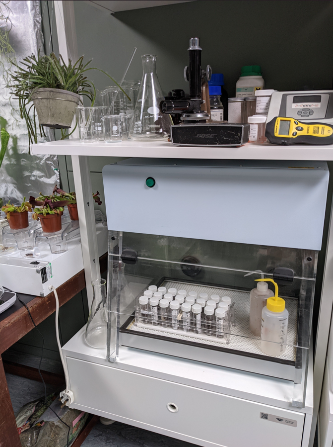 Simone Tyler’s ecology lab