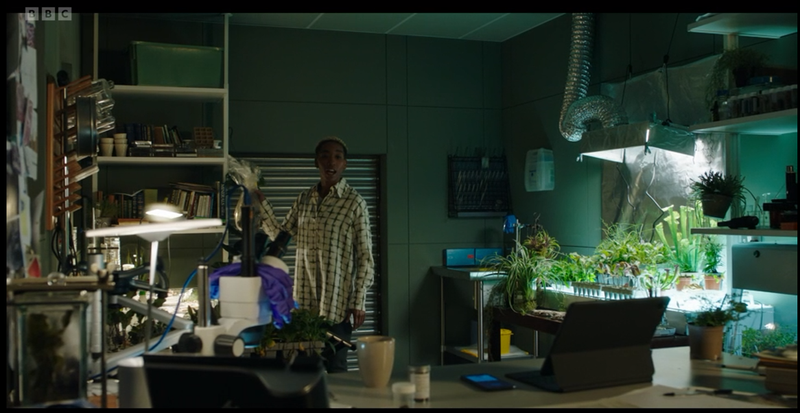 Simone Tyler’s ecology lab