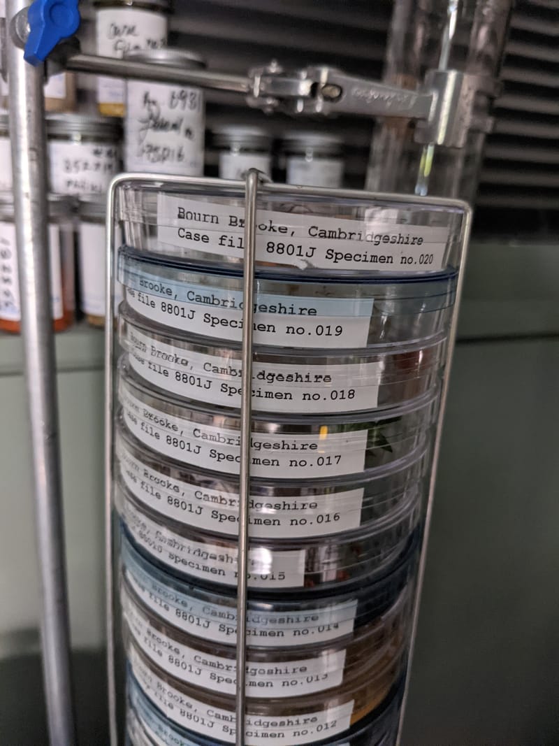 Miscellaneous additional prop making & organisation