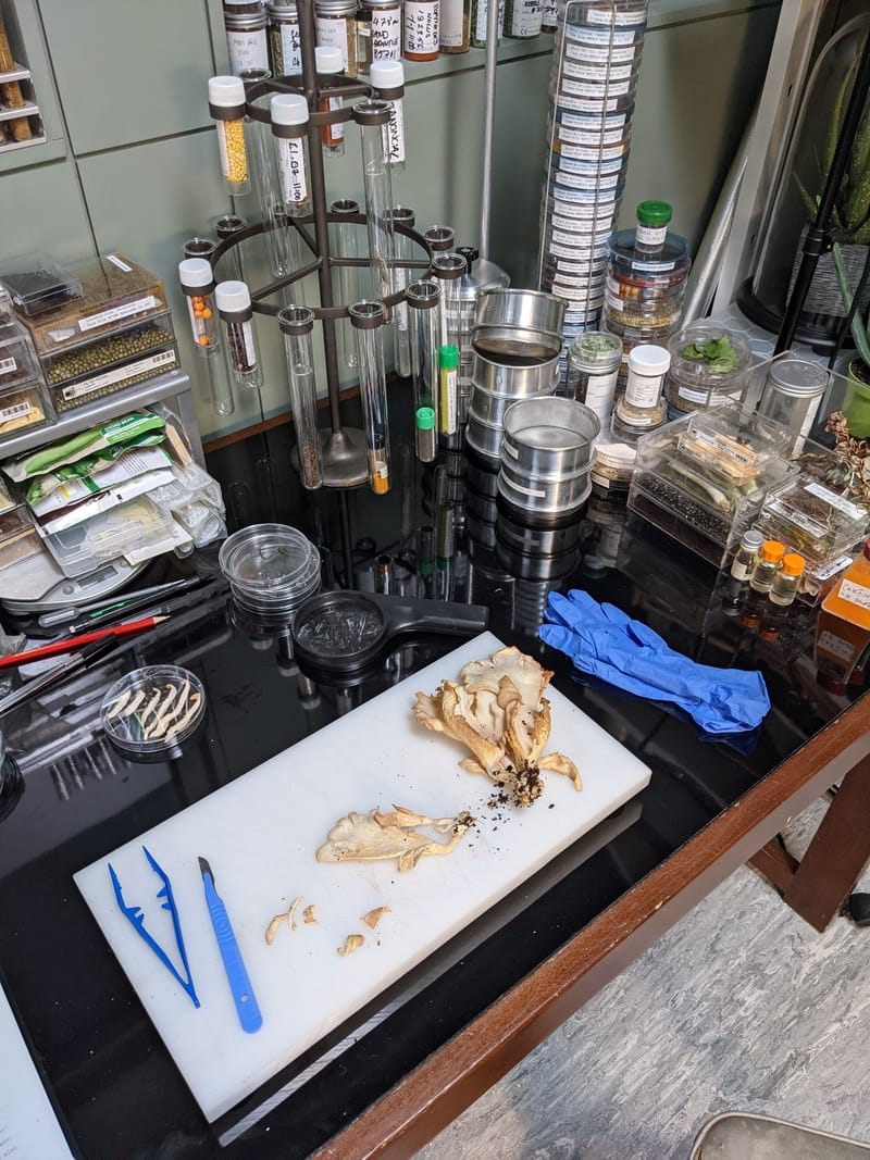 Miscellaneous additional prop making & organisation