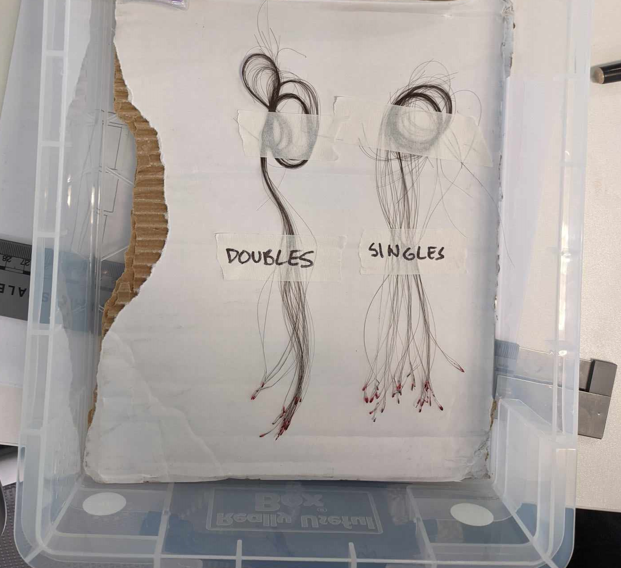 Ripped out hair strands