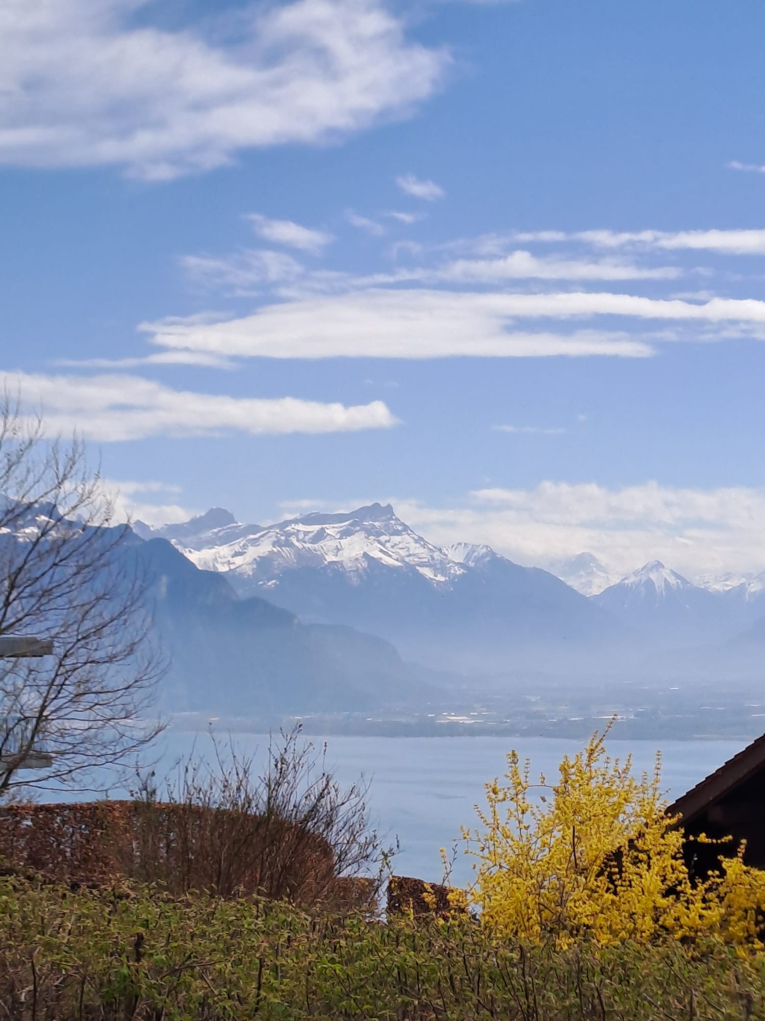À vendre - Charmant chalet rénové à Mont-Pèlerin