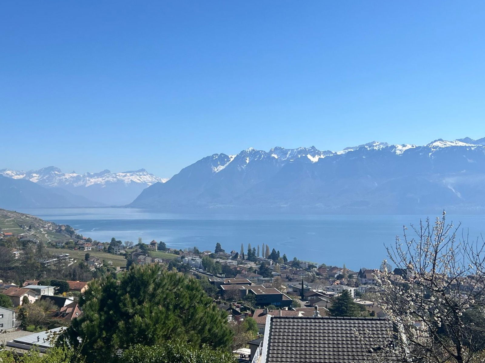À vendre - Construction en démarrage - Villa à Lutry avec vue imprenable sur le lac et les montagnes