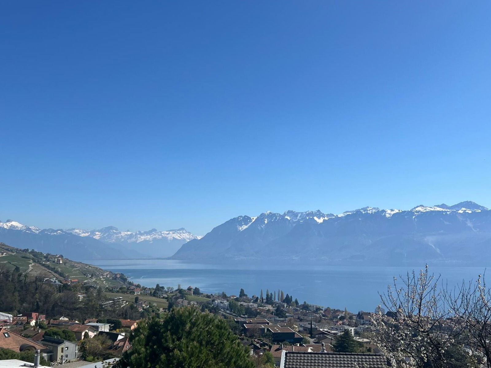 À vendre - Construction en démarrage - Villa à Lutry avec vue imprenable sur le lac et les montagnes
