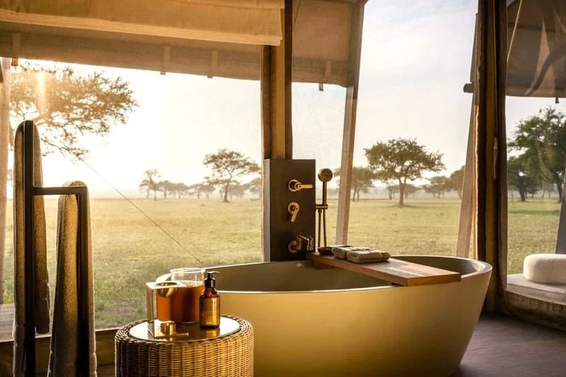 Accommodation