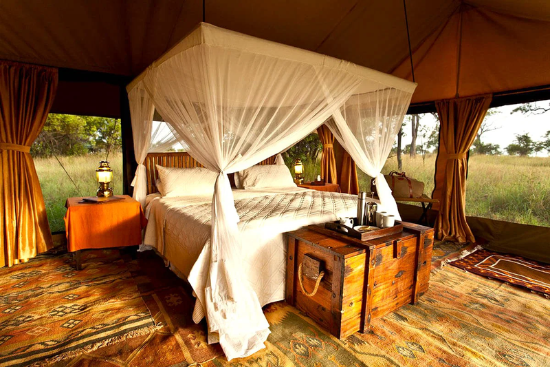 Accommodation