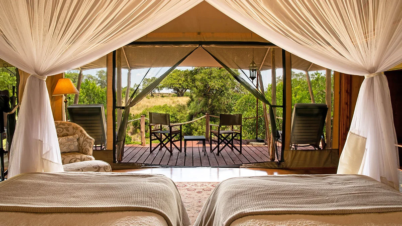 Accommodation