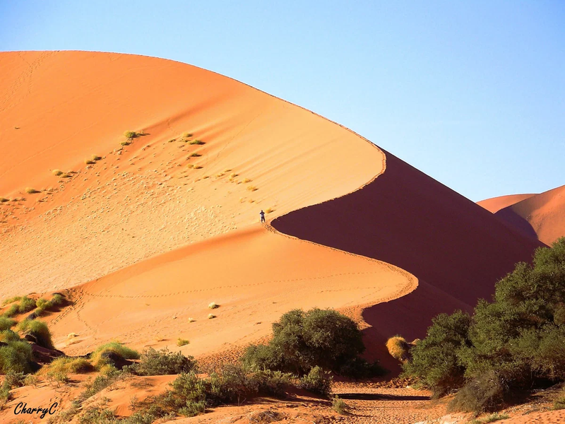 ACTIVITIES IN AFRICA