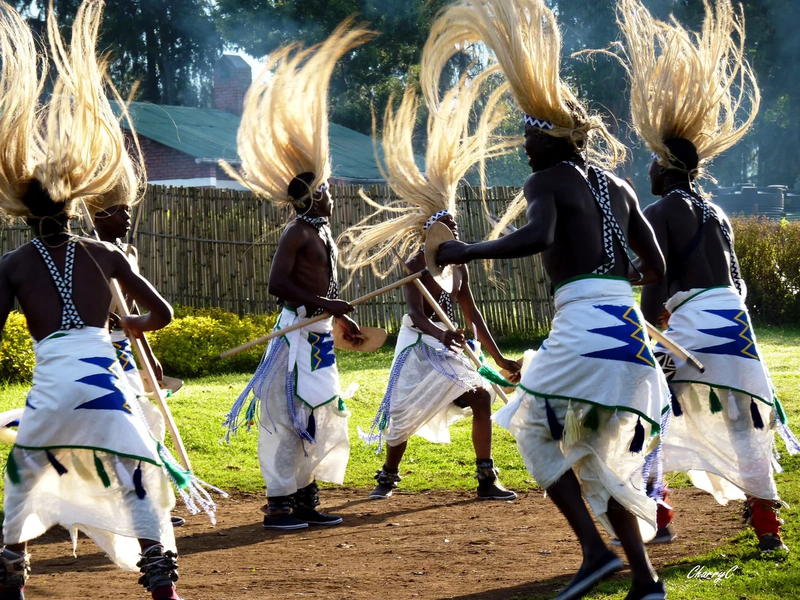 ACTIVITIES IN AFRICA