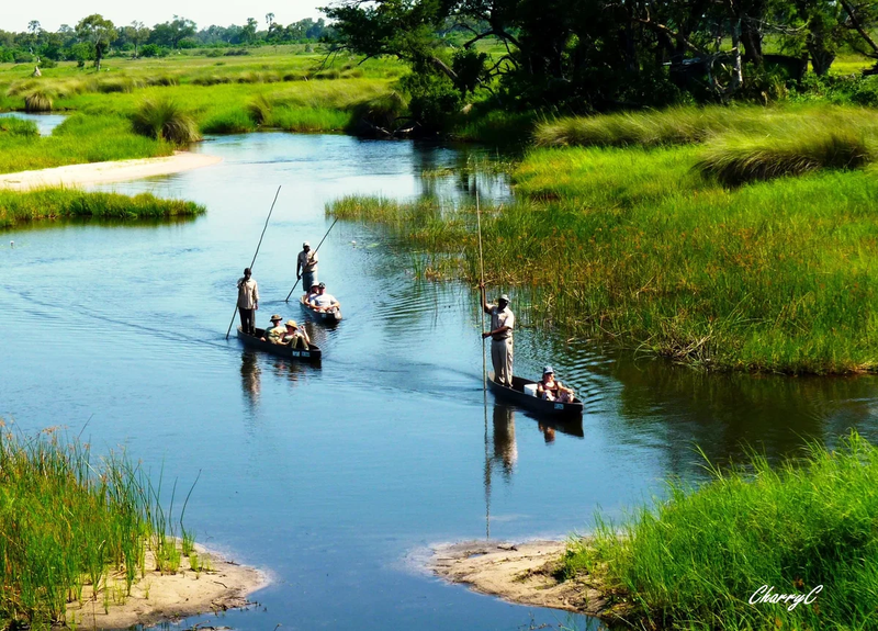 ACTIVITIES IN AFRICA
