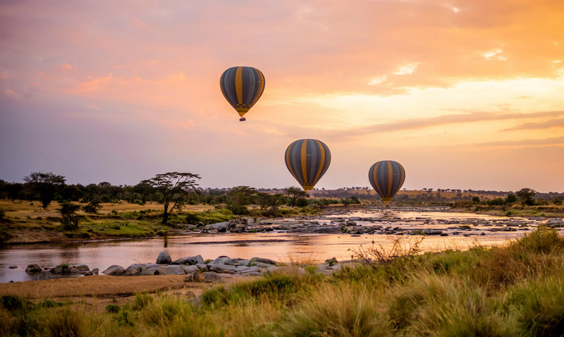 ACTIVITIES IN AFRICA