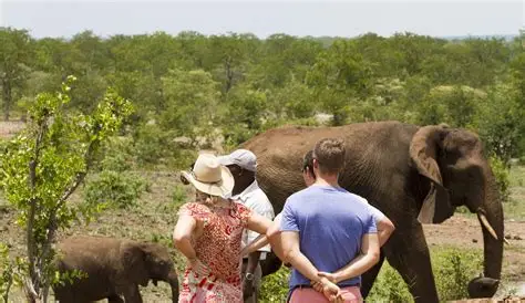 ACTIVITIES IN AFRICA