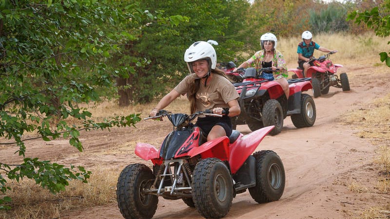 ACTIVITIES IN AFRICA