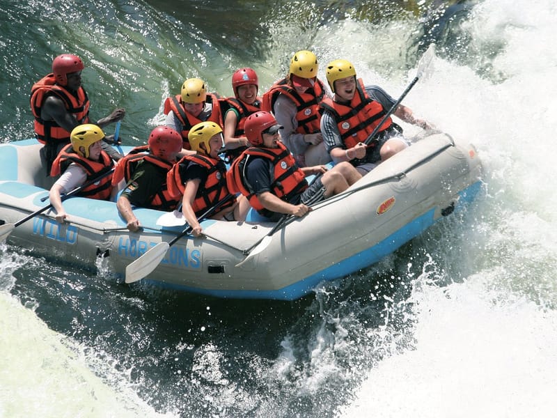 ACTIVITIES IN AFRICA