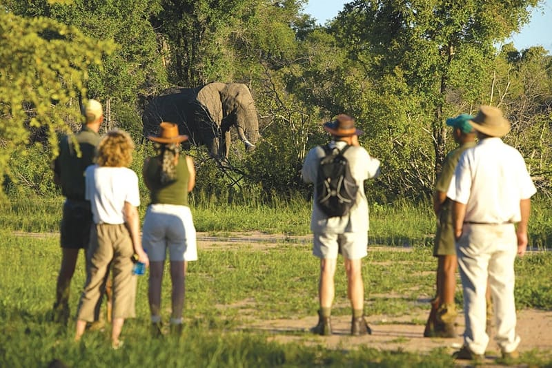ACTIVITIES IN AFRICA