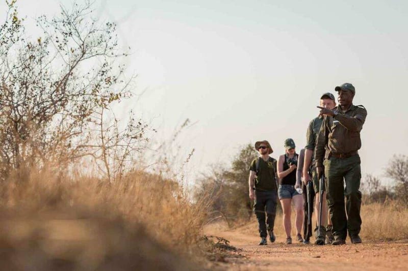 ACTIVITIES IN AFRICA