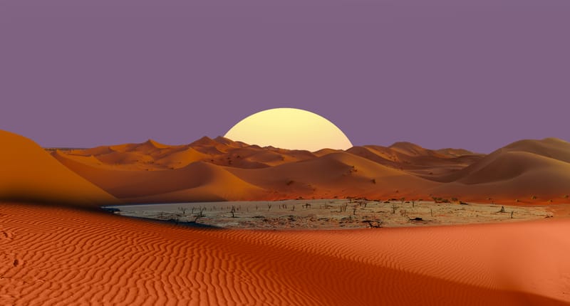 WHERE THE DESERT MEETS THE OCEAN