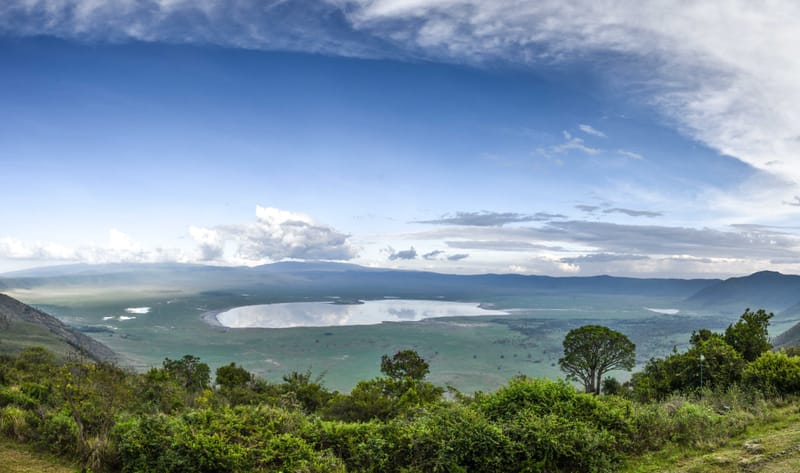 WHERE THE NEVER-ENDING PLAINS ARE TEEMING WITH WILDLIFE