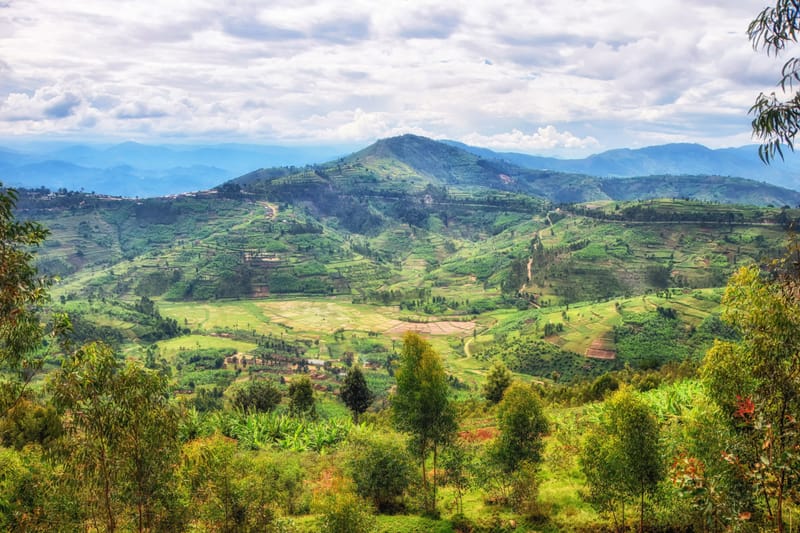 LAND OF A THOUSAND HILLS