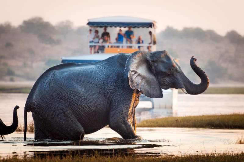 THE MOST SOUGHT-AFTER SAFARI DESTINATION ON EARTH