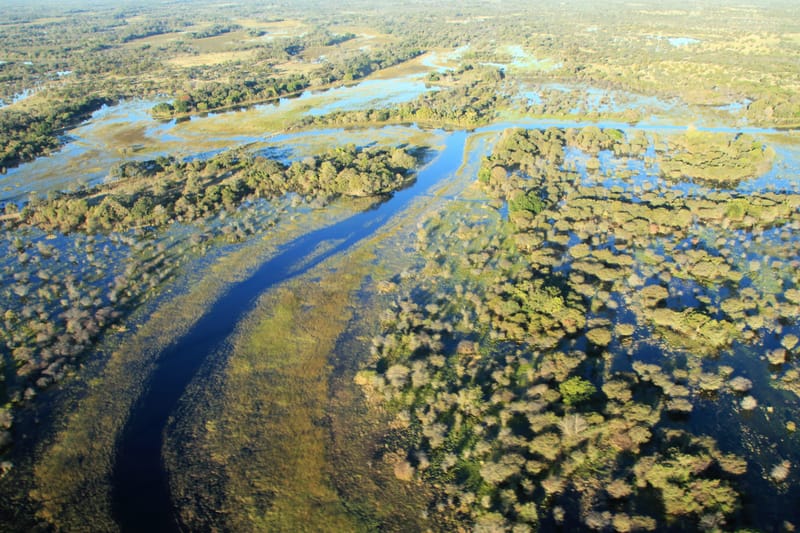 THE MOST SOUGHT-AFTER SAFARI DESTINATION ON EARTH