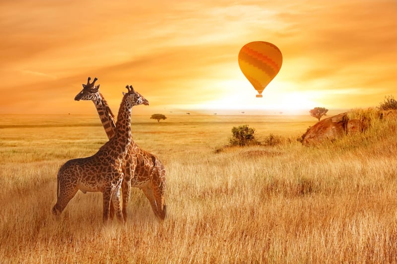 THE GREATEST WILDLIFE SHOW ON EARTH