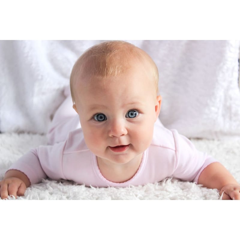 סדנת זוחלים