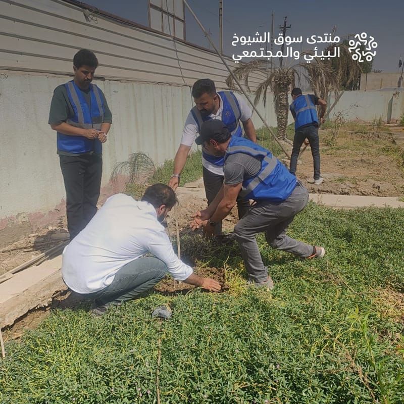 دكاترة سافروا من بغداد ليزرعوا “ددونيا وأثل” في سوق الشيوخ (فيديو)