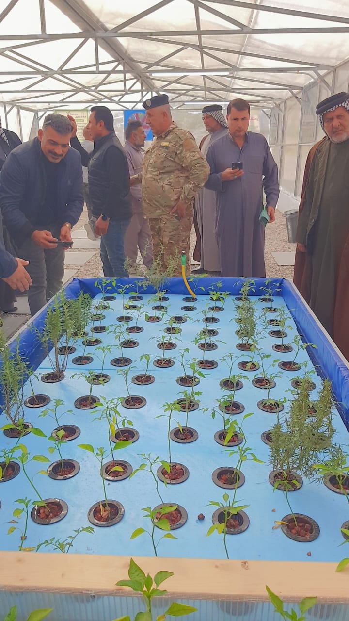 أول مزرعة ذكية في سوق الشيوخ تعمل بطاقة الشمس وتدرب الفلاحين تقلل استهلاك المياه 80%