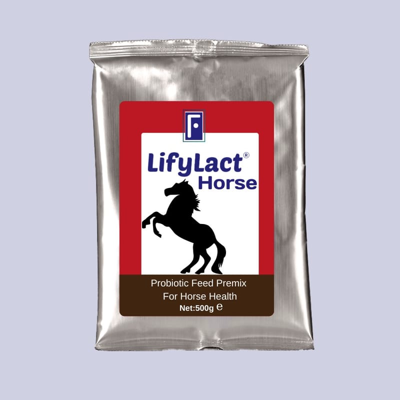Veterinary Probiotics & Nutritional Support | LifyLact® Animal Series
