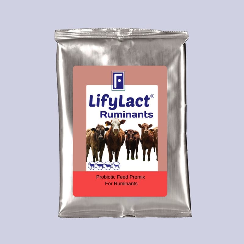 Veterinary Probiotics & Nutritional Support | LifyLact® Animal Series