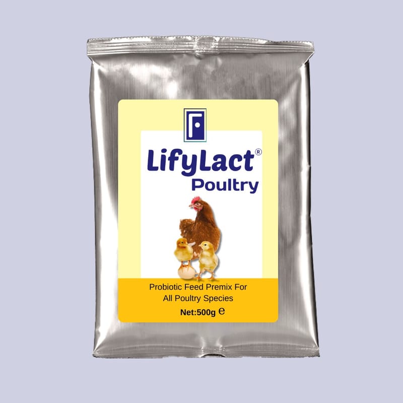 Veterinary Probiotics & Nutritional Support | LifyLact® Animal Series