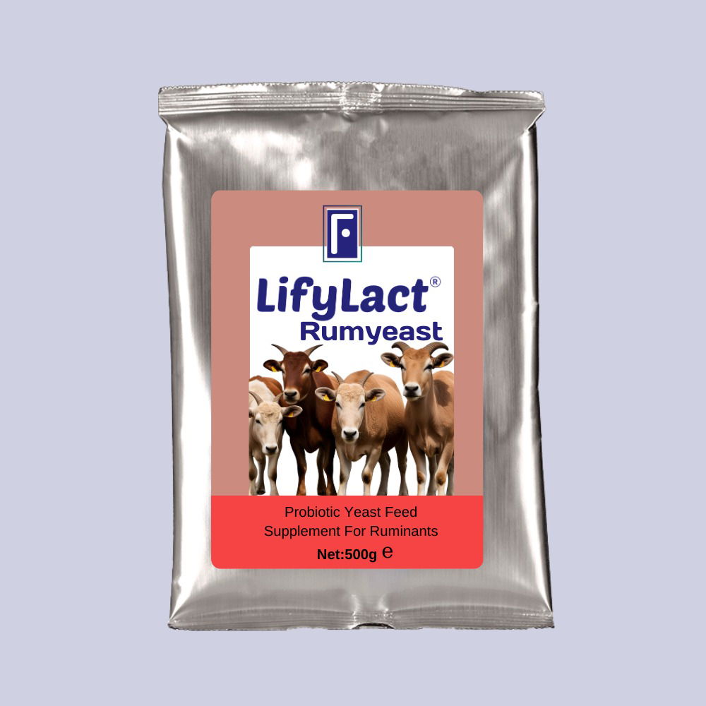 مستحضرات البروبيوتيك البيطرية والدعم الغذائي | LifyLact® Animal Series