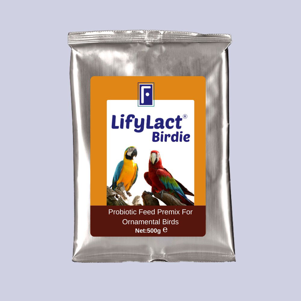 مستحضرات البروبيوتيك البيطرية والدعم الغذائي | LifyLact® Animal Series