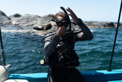 What Is Scuba Diving in Loreto, Mexico?