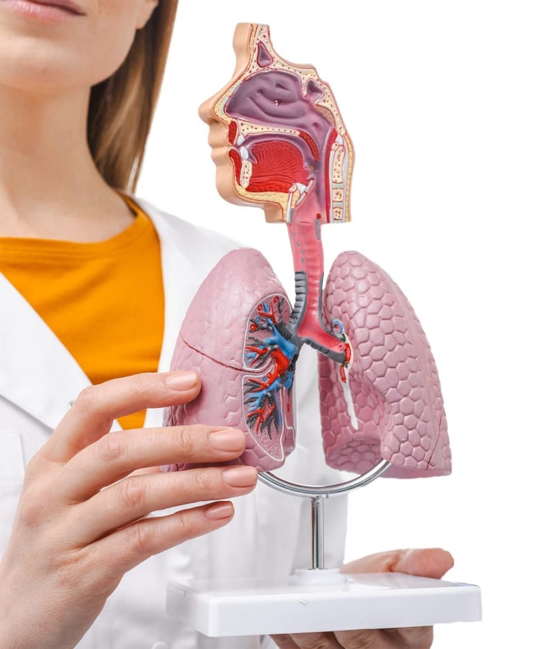 Fisioterapia Respiratória