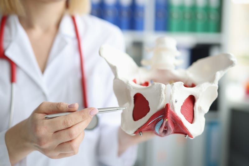 Fisioterapia na Saúde da Mulher