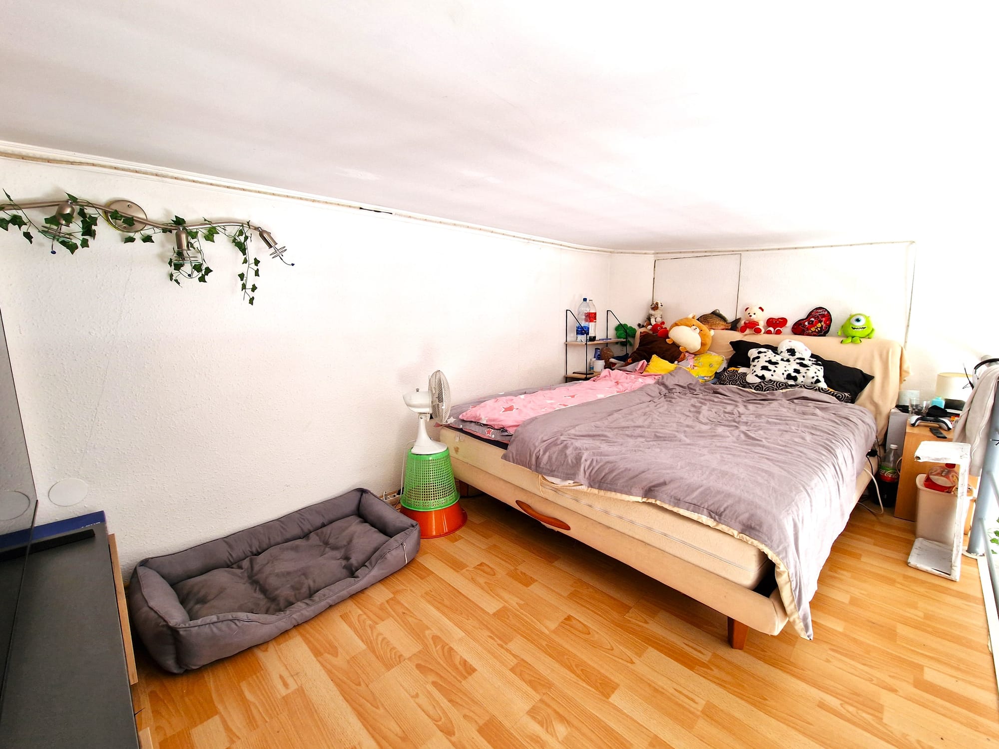 VIII. kerület - Kálvária tér 22.