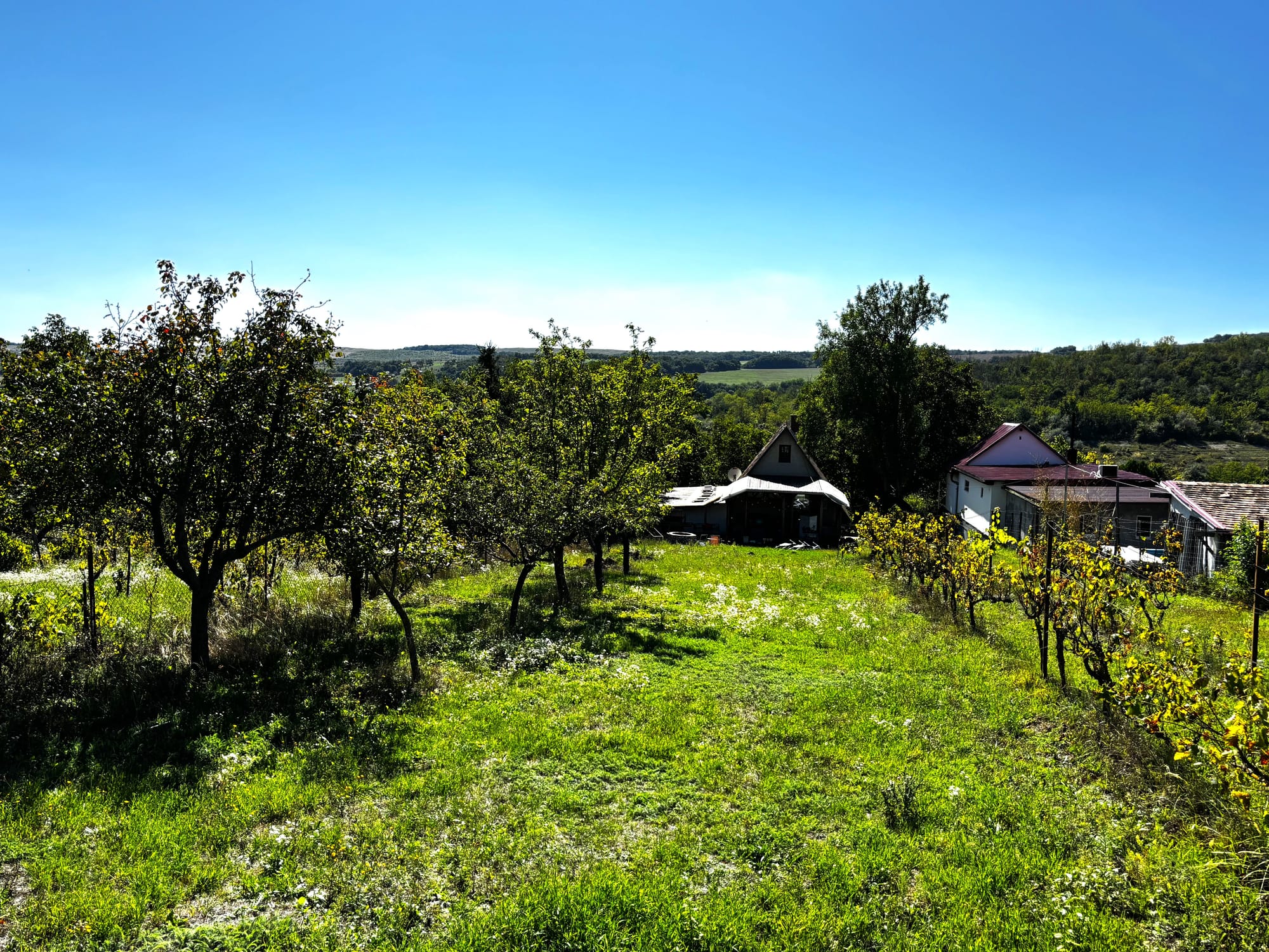 ISZKASZENTGYÖRGY - 50 NM - 24.900.000 FT