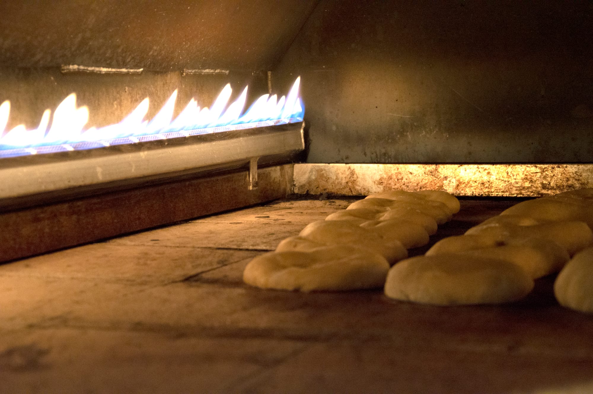 Elenco Ceseifici e fornai in zona: