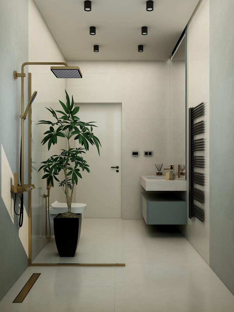 Casa P.B. - Timisoara 