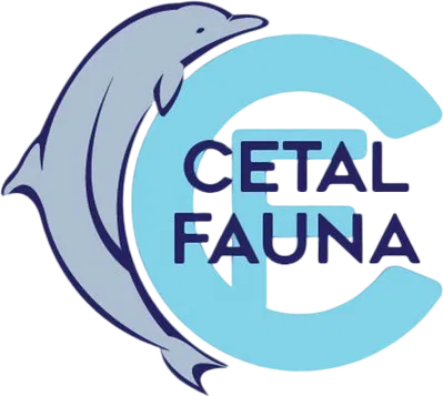 CetalFauna Dophin Research